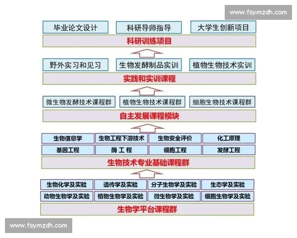 持续发酵驱动价值增长的长期机制与系统化创新路径研究与实践探索